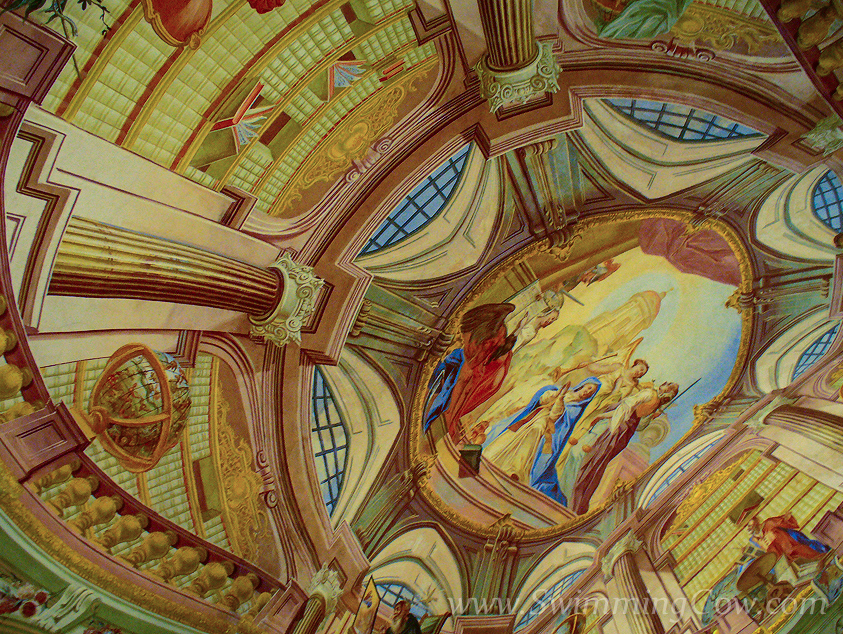 The Library on the Ceiling